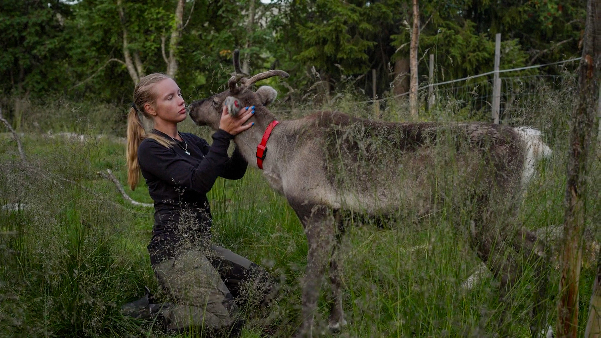 A young woman gently holds a reindeer's head in a forest, in a scene from The Weight of a People.
